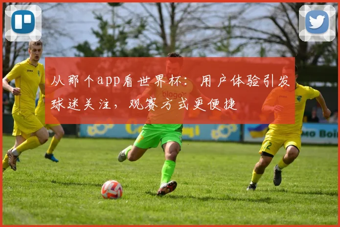 从那个app看世界杯:用户体验引发球迷关注,观赛方式更便捷