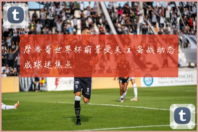 摩洛哥世界杯前景受关注 备战动态成球迷焦点