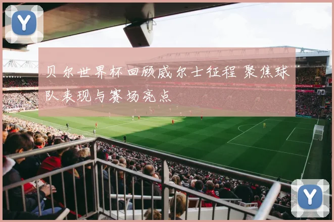 贝尔世界杯回顾威尔士征程 聚焦球队表现与赛场亮点