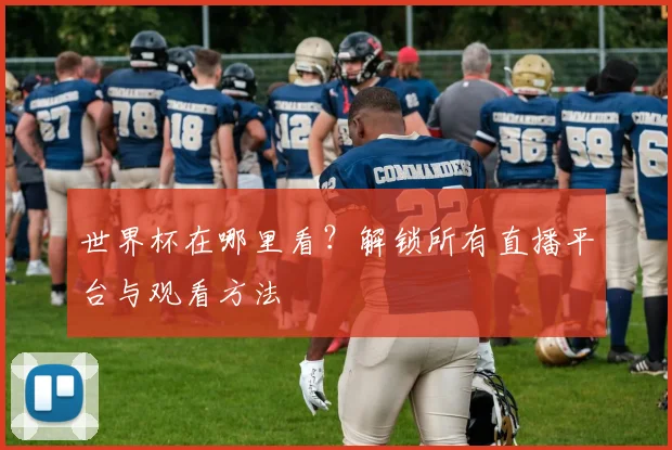 世界杯在哪里看?解锁所有直播平台与观看方法