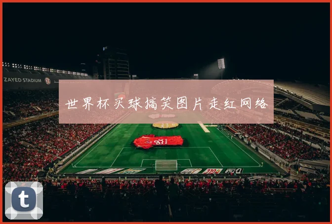 世界杯买球搞笑图片走红网络