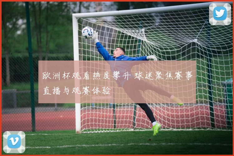 欧洲杯观看热度攀升 球迷聚焦赛事直播与观赛体验