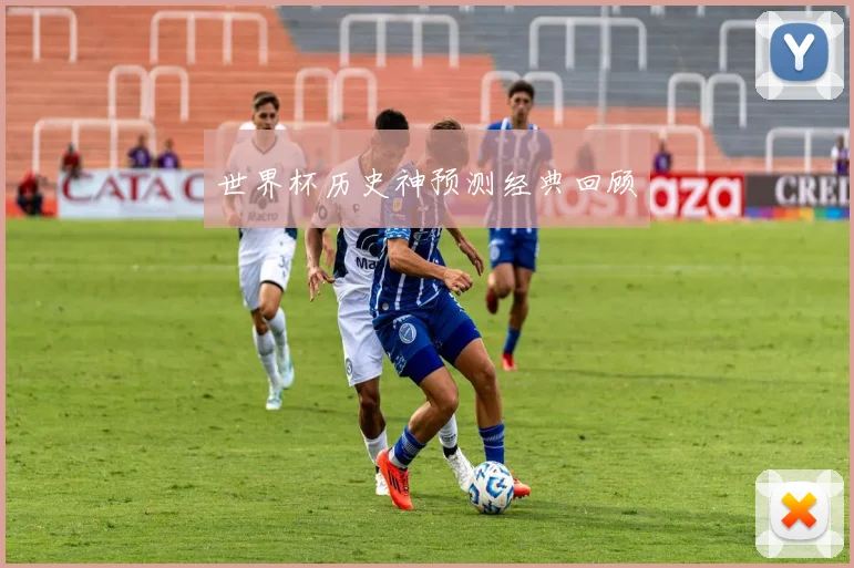 世界杯历史神预测经典回顾