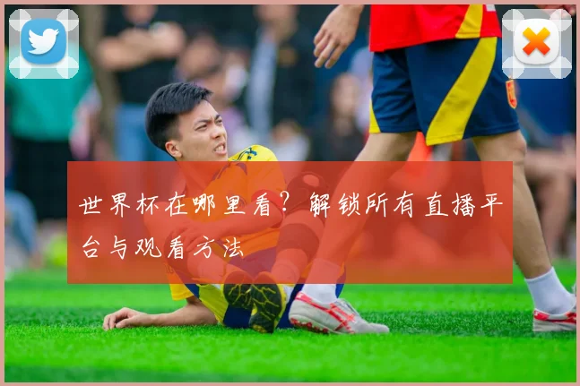 世界杯在哪里看?解锁所有直播平台与观看方法