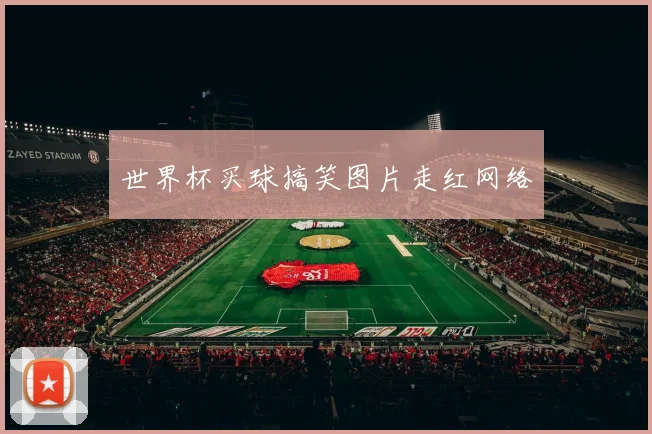 世界杯买球搞笑图片走红网络